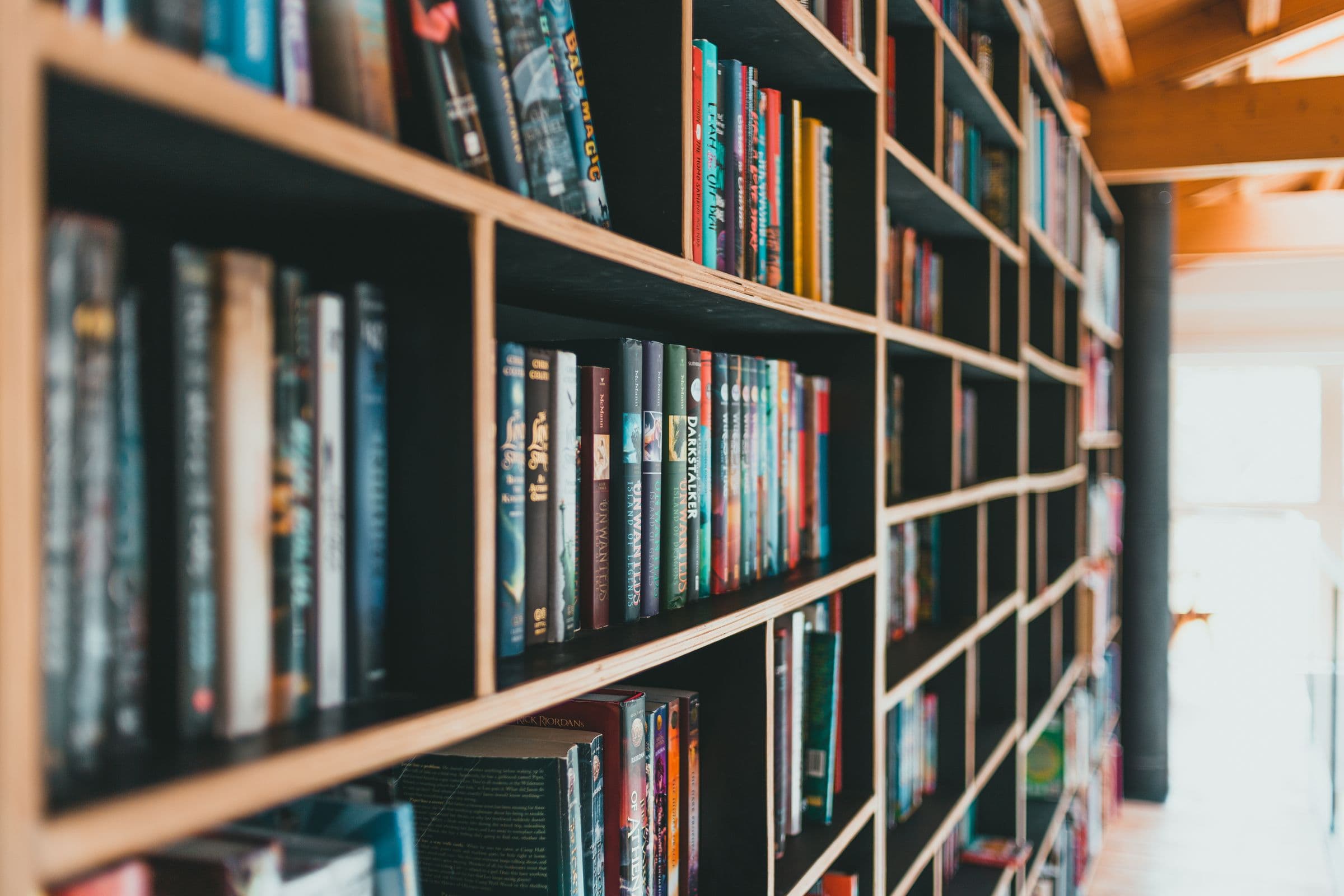 Library shelves filled with brightly coloured books, lit by daylight